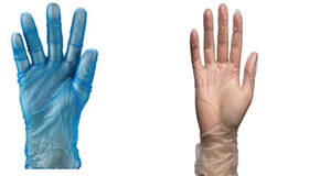 Vinyl Gloves
